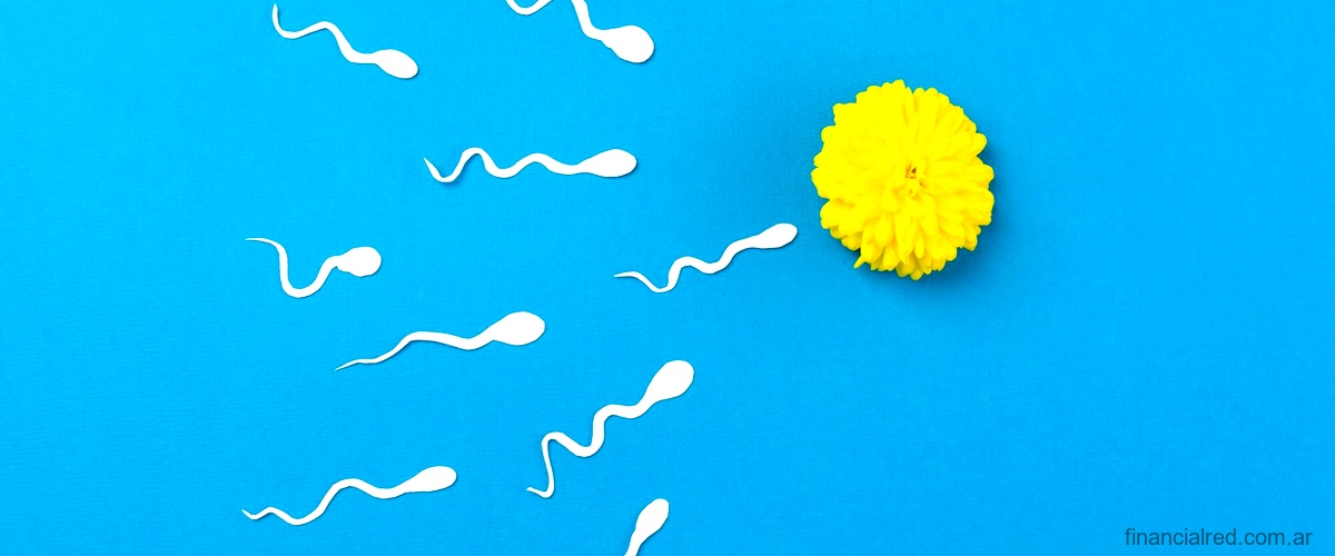 ¿Cuántos espermatozoides se producen por minuto?