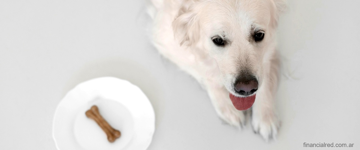 Precio de Therios 750 mg para perros: ¿qué factores influyen en su costo?